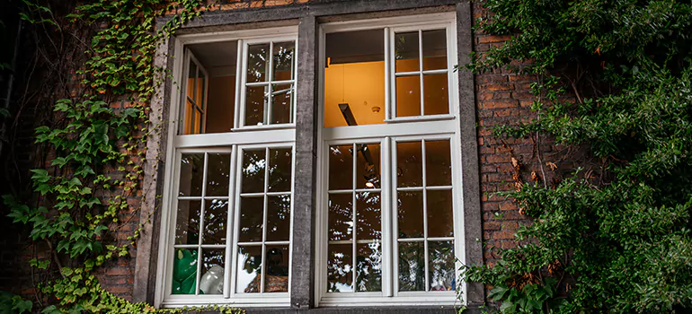 Energy Efficient Wood Windows in Oakland Park, FL