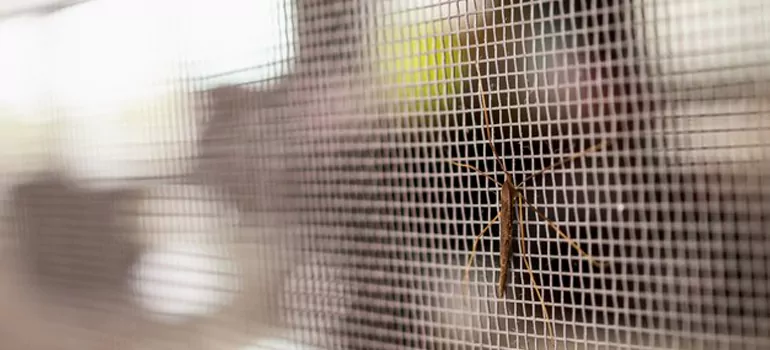 Repair Mosquito Mesh For Windows in Oakland Park, FL