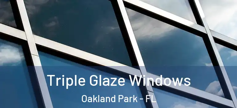  Triple Glaze Windows Oakland Park - FL