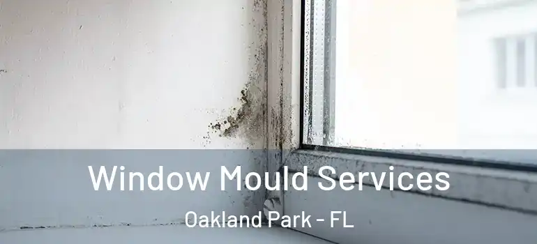  Window Mould Services Oakland Park - FL